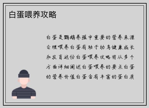 白蛋喂养攻略